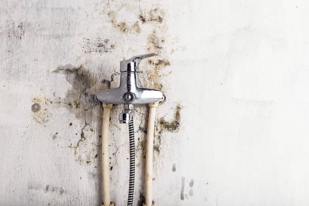 Home Mold Removal in Westfield, WI