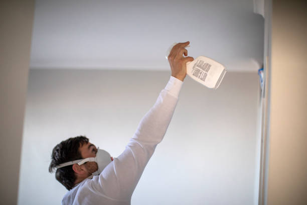 Best Toxic Mold Removal  in Westfield, WI
