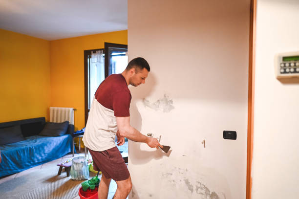 Best Attic Mold Removal  in Westfield, WI